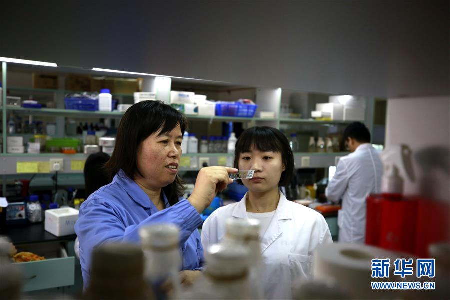 （图文互动）（2）在太空种粮种菜开花结果 我国首次在天宫二号完成植物生长全过程实验